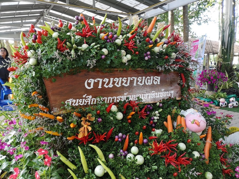 ภาพที่ 9