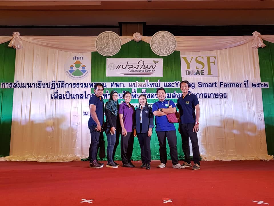 ภาพที่ 4