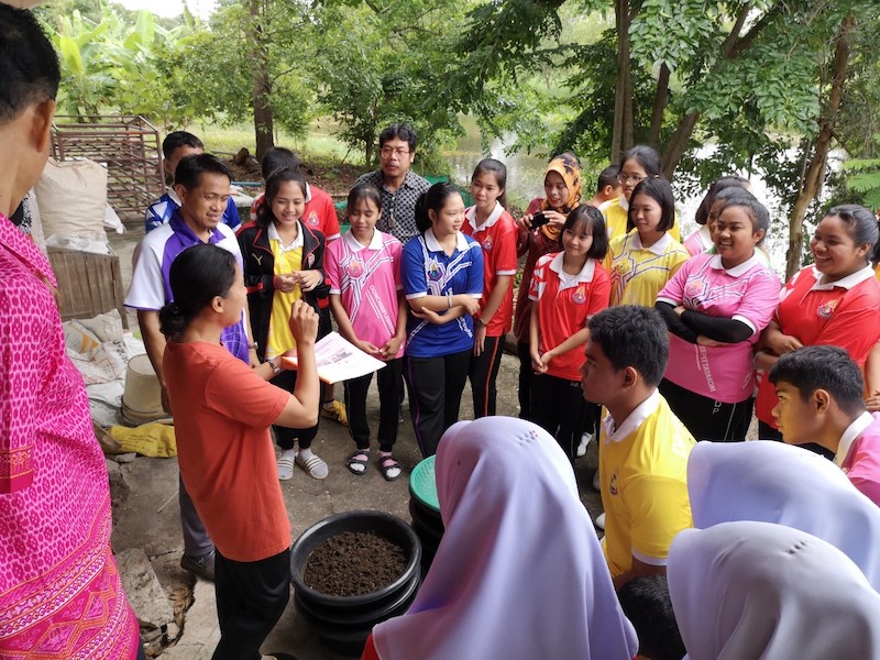 ภาพที่ 3