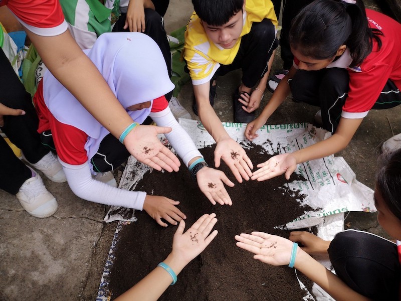 ภาพที่ 11