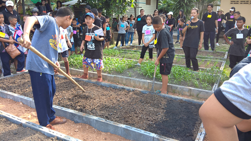 ภาพที่ 8