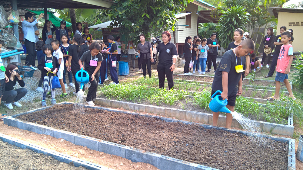 ภาพที่ 10