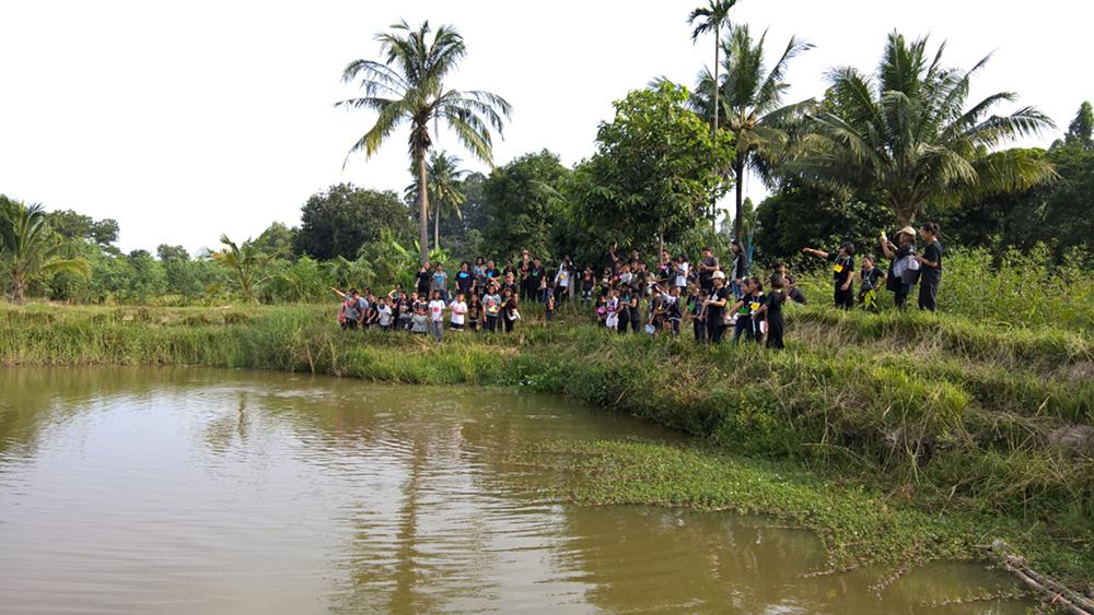 ภาพที่ 11