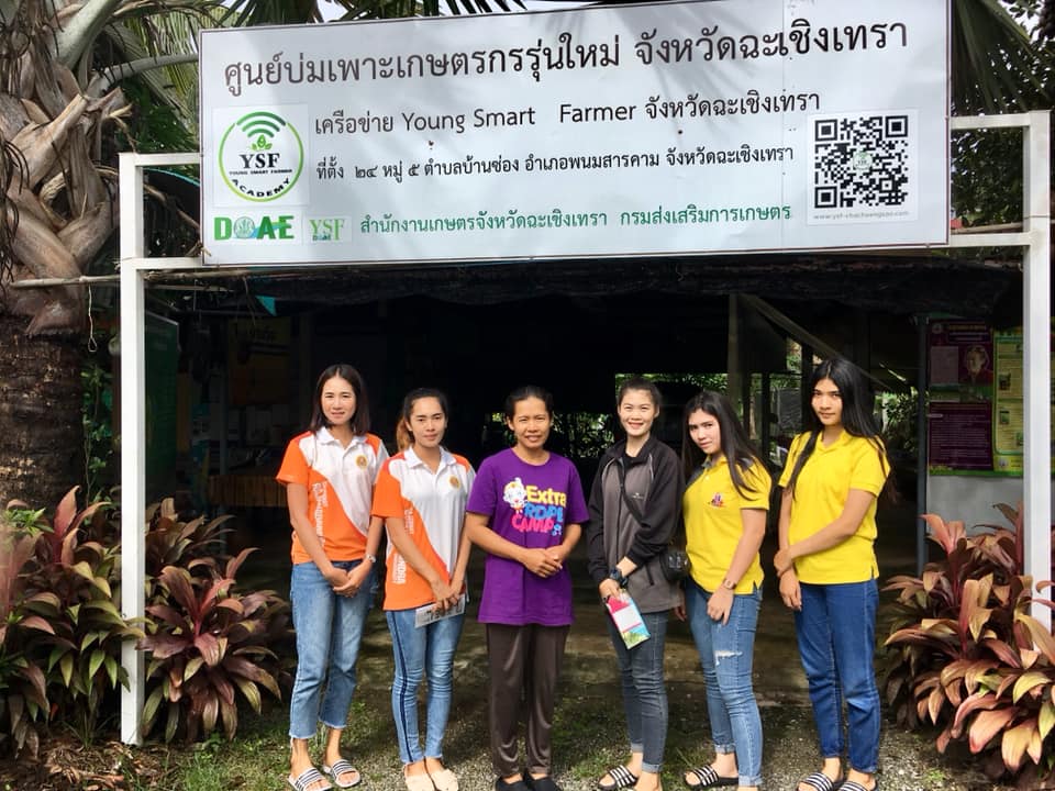 ภาพที่ 1