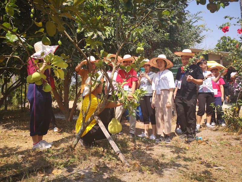 ภาพที่ 14