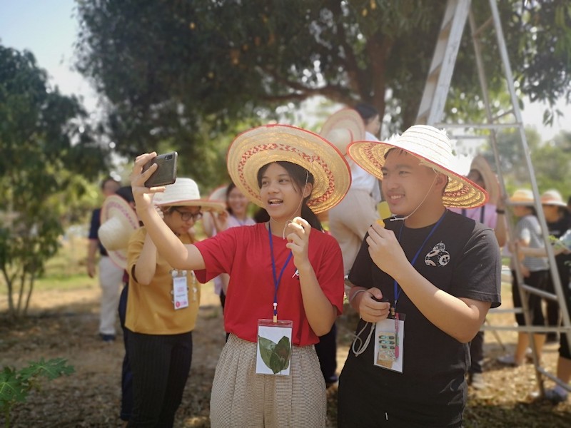 ภาพที่ 15