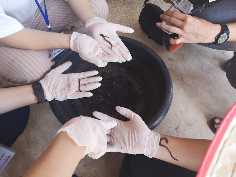 ภาพที่ 21