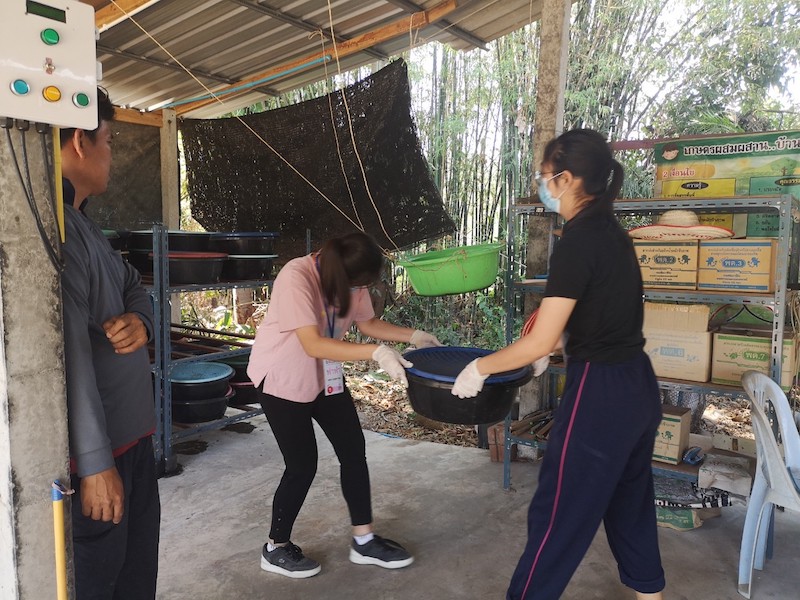 ภาพที่ 29