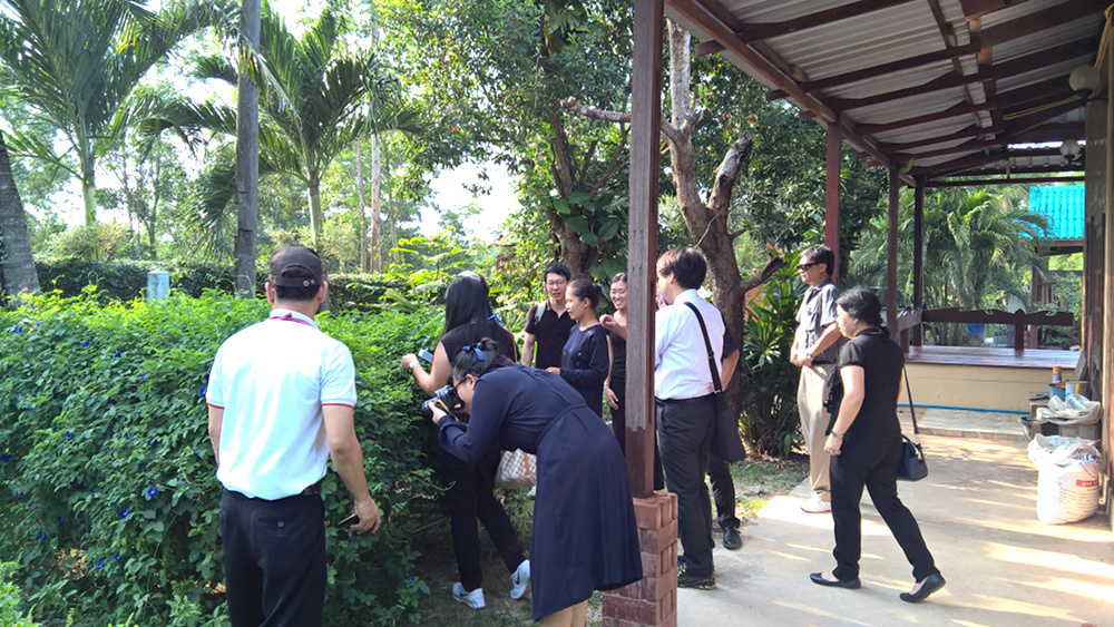 ภาพที่ 4