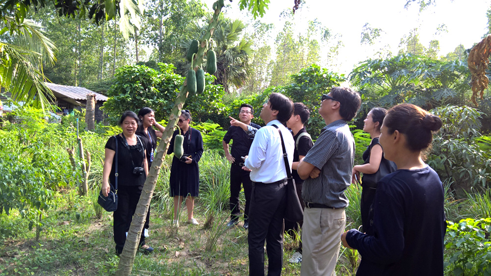 ภาพที่ 5