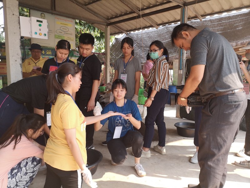 ภาพที่ 4