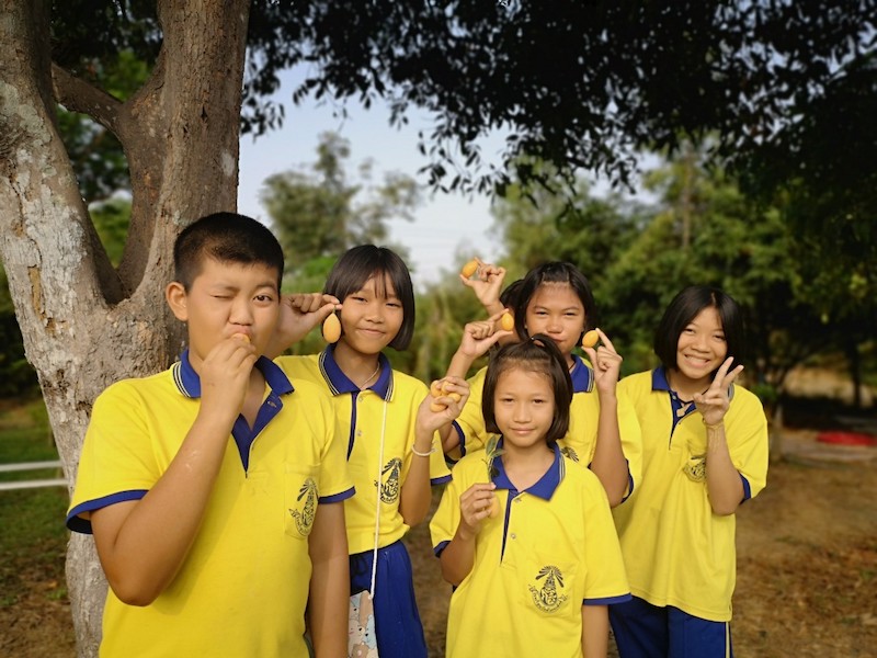 ภาพที่ 5