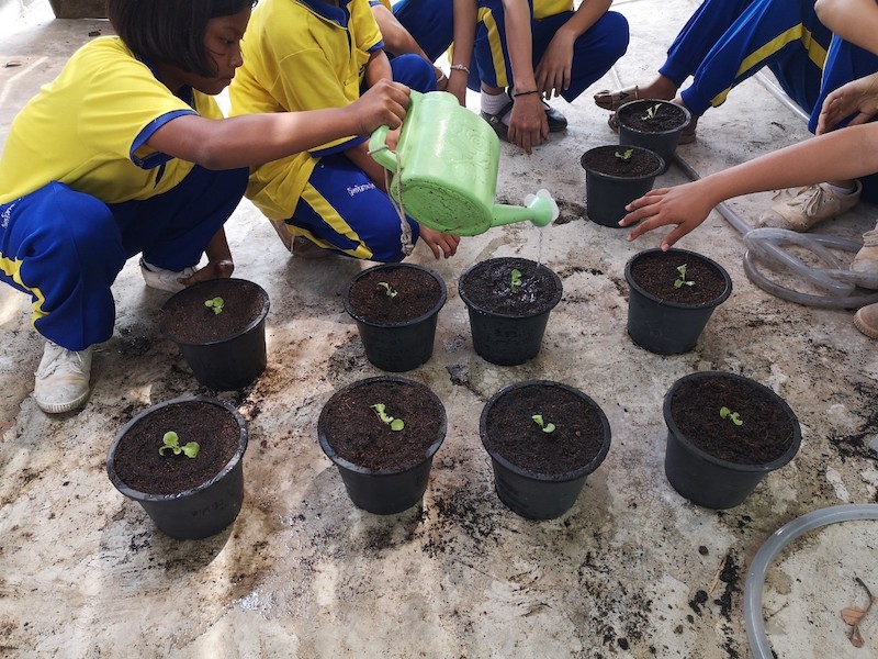 ภาพที่ 24