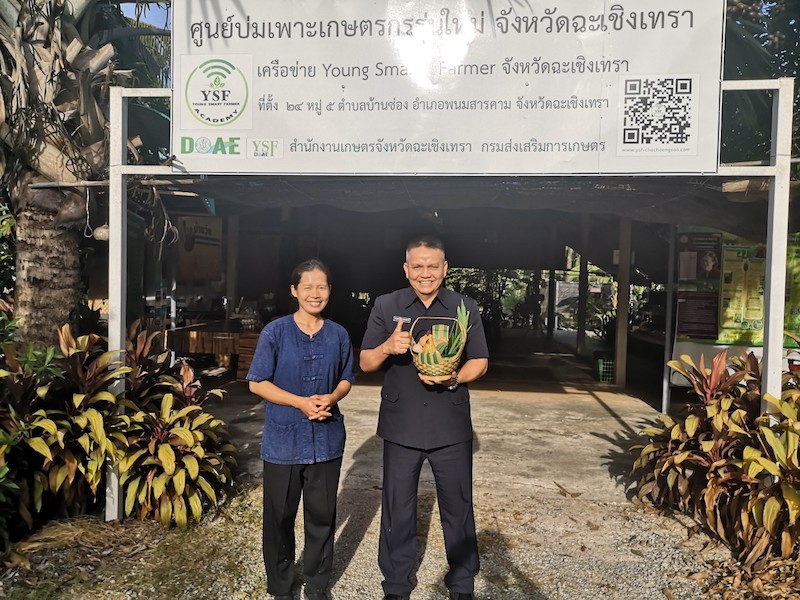 ภาพที่ 11