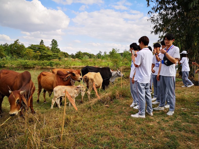 ภาพที่ 16