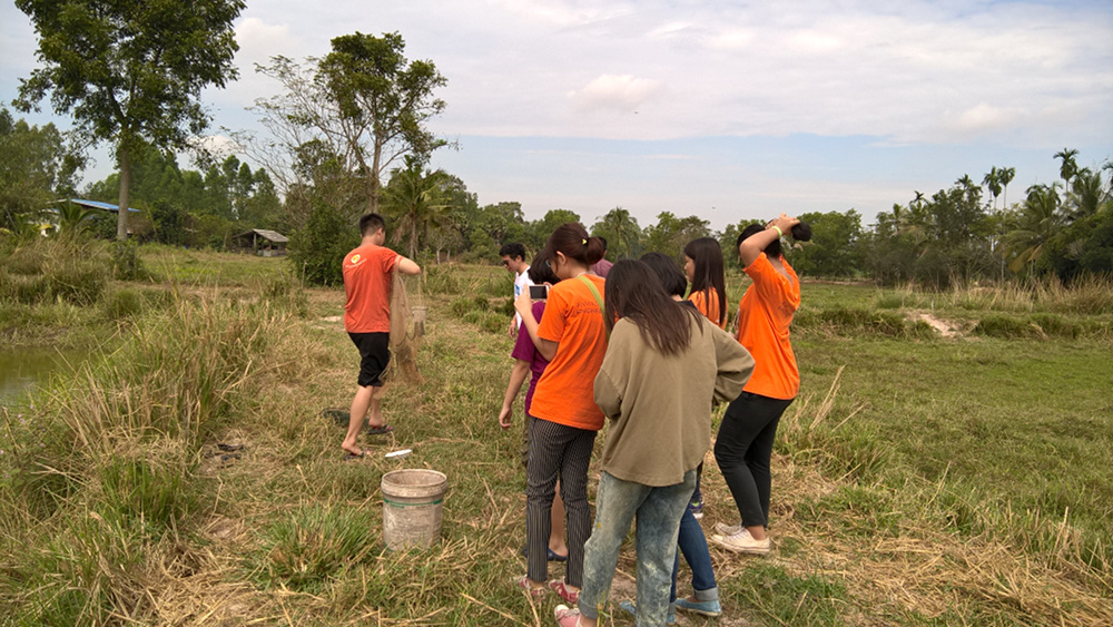 ภาพที่ 5