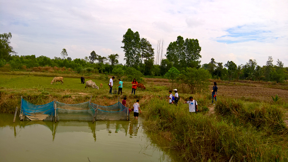 ภาพที่ 6