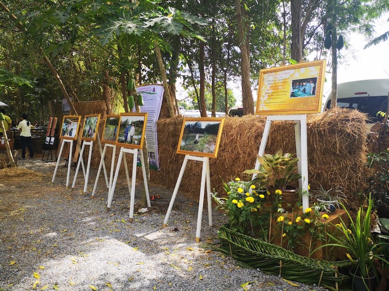 ภาพที่ 7