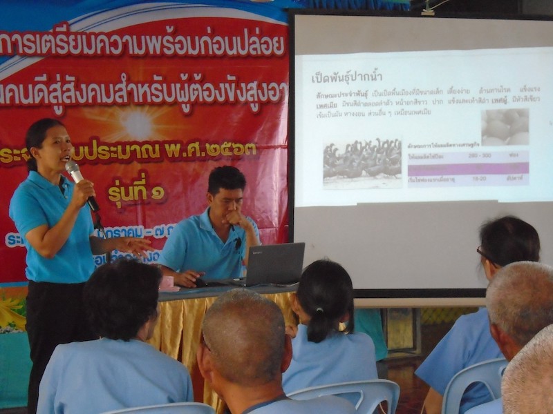 ภาพที่ 3