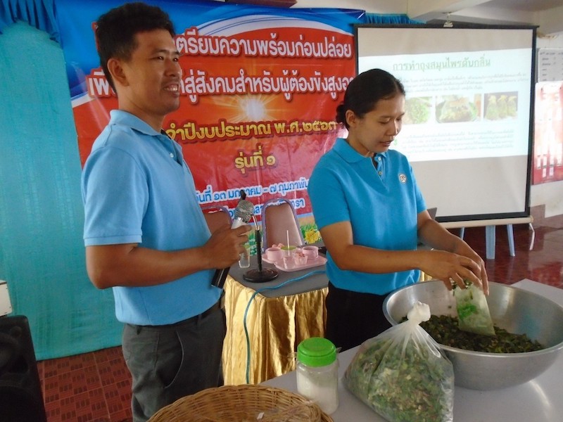 ภาพที่ 6