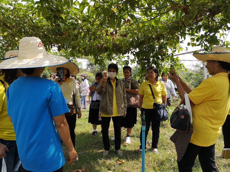 ภาพที่ 12