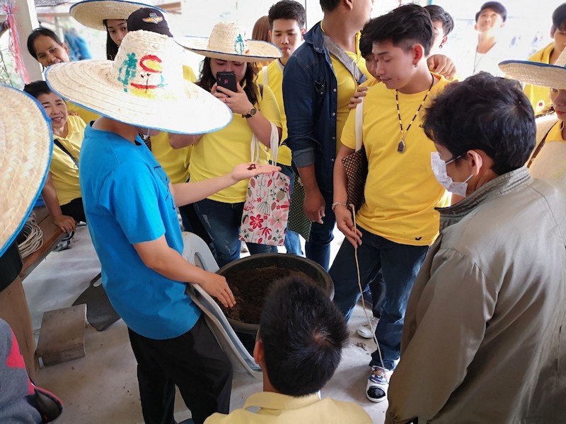 ภาพที่ 17