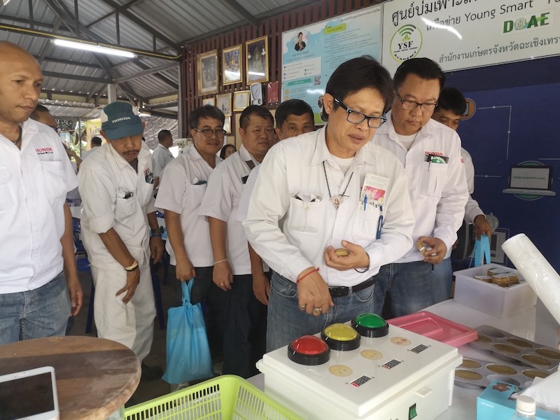 ภาพที่ 8
