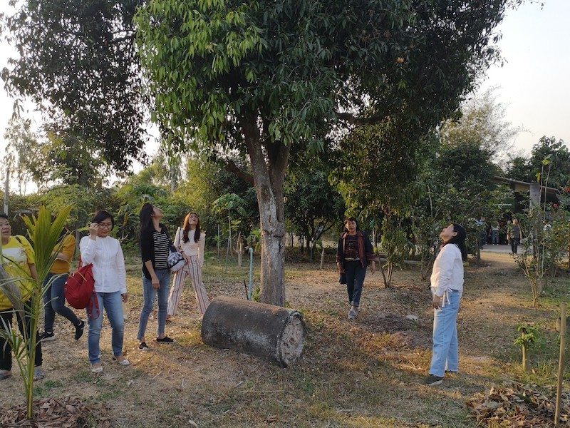 ภาพที่ 11