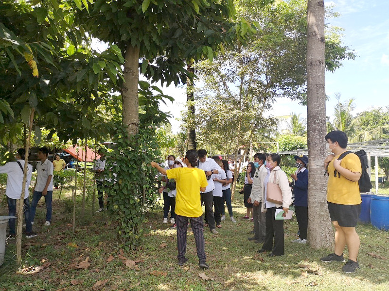 ภาพที่ 7