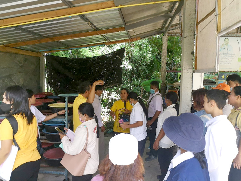 ภาพที่ 13