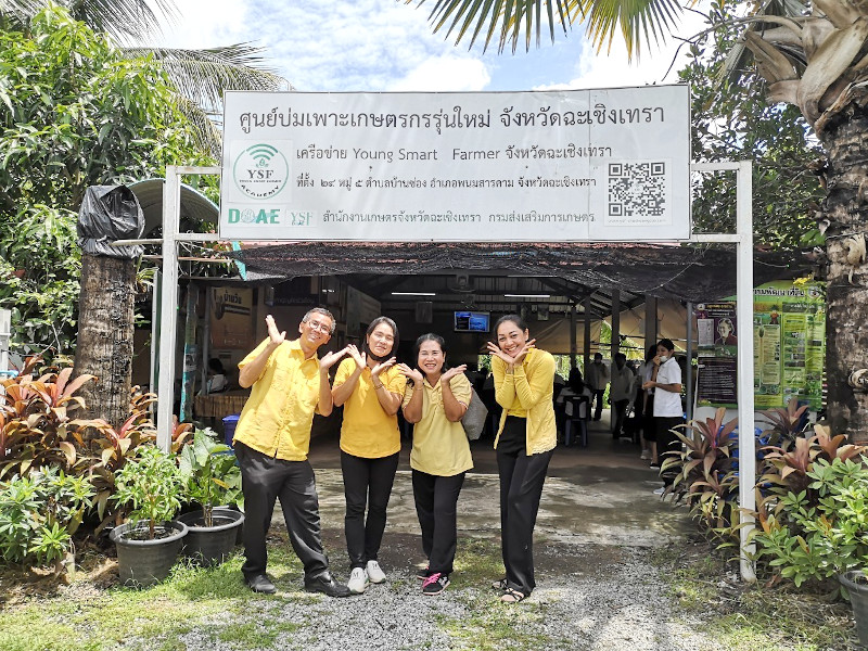 ภาพที่ 17