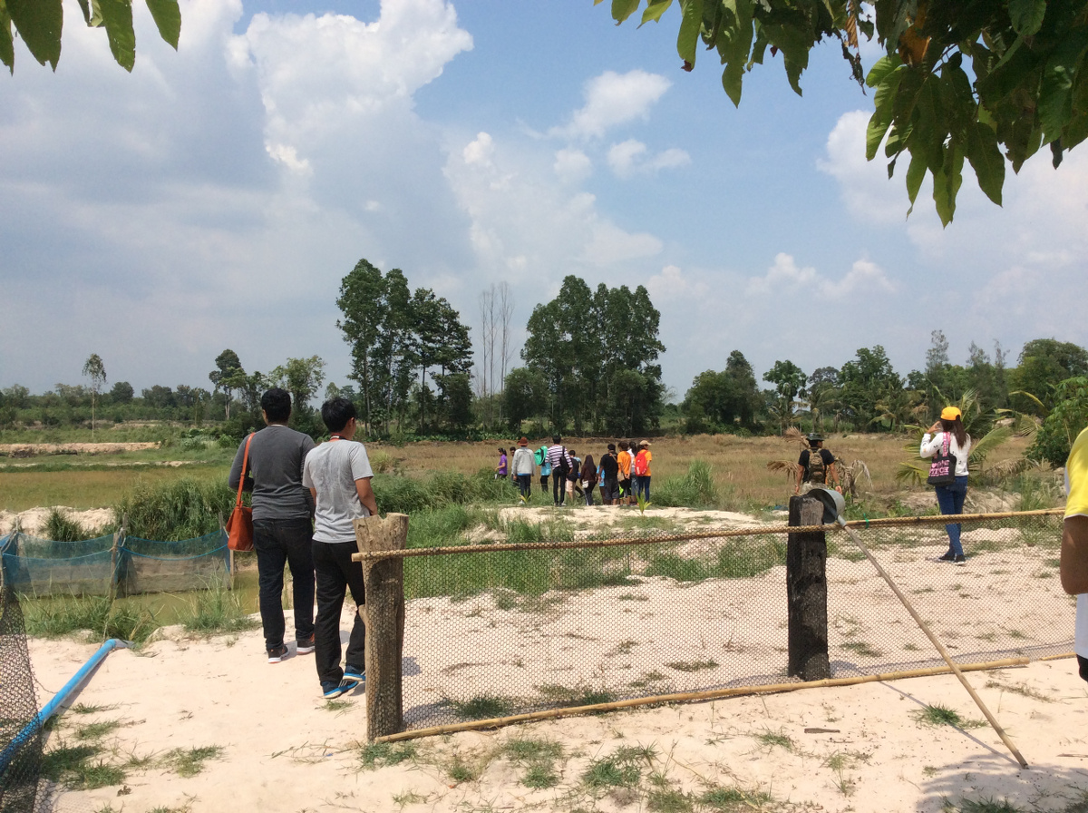 ภาพที่ 4