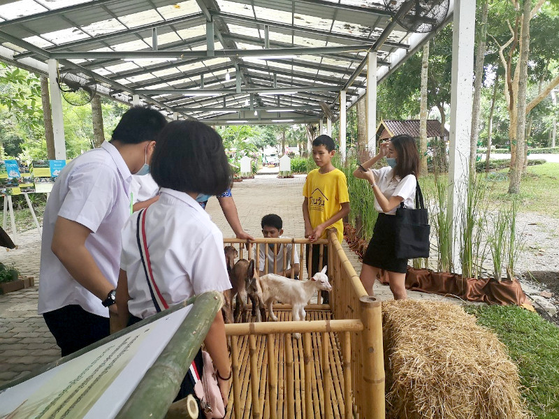 ภาพที่ 8