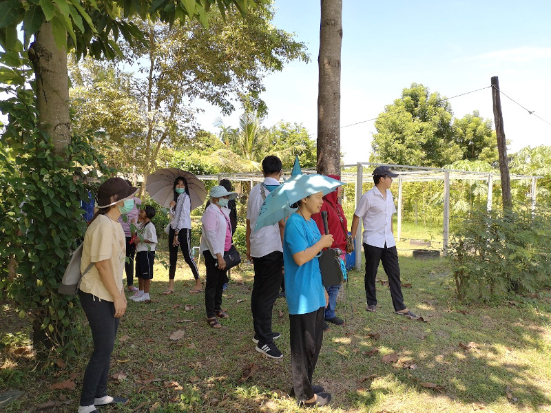 ภาพที่ 5