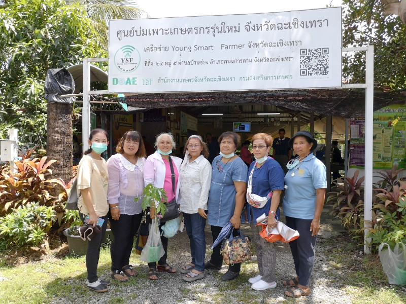 ภาพที่ 11