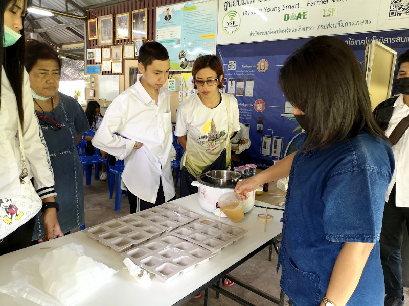 ภาพที่ 14