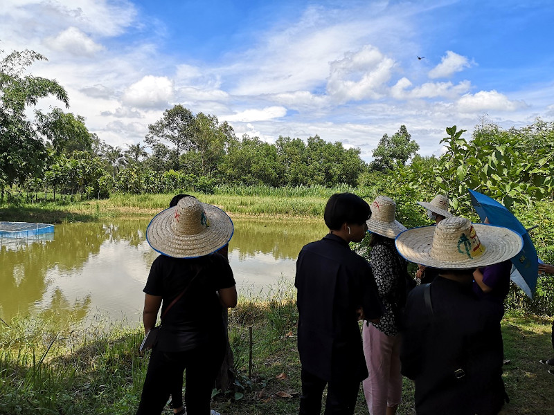 ภาพที่ 3