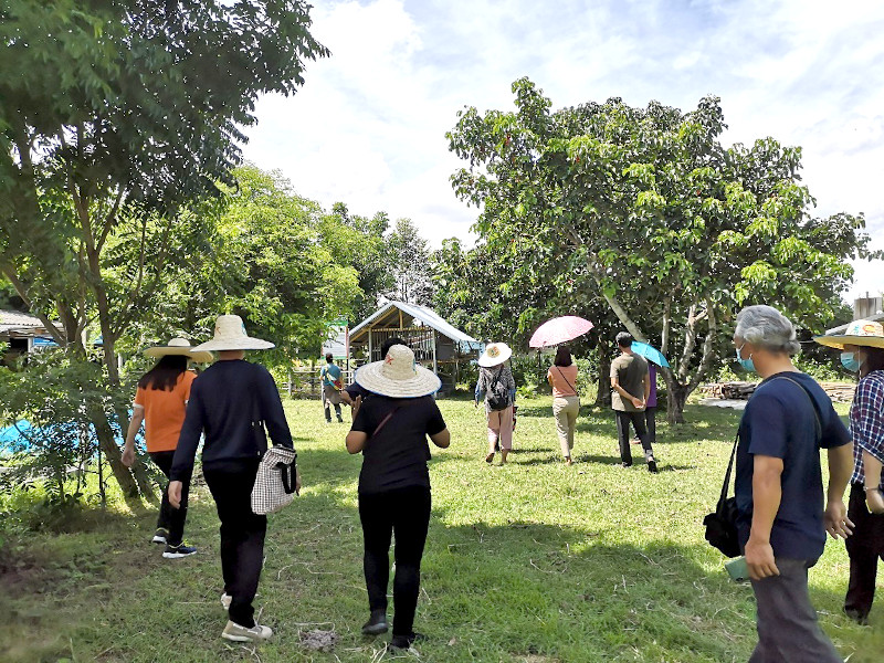 ภาพที่ 5