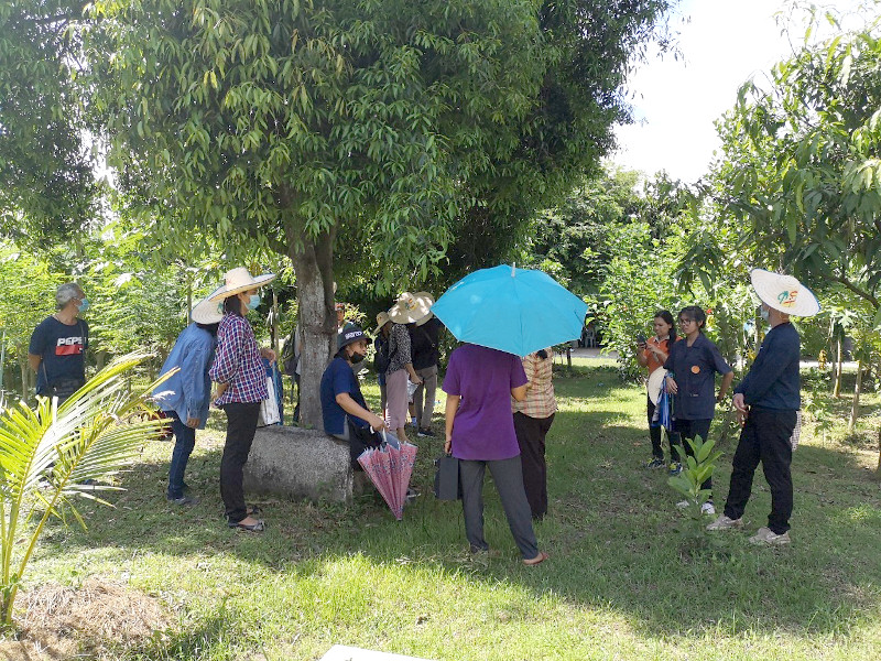 ภาพที่ 13