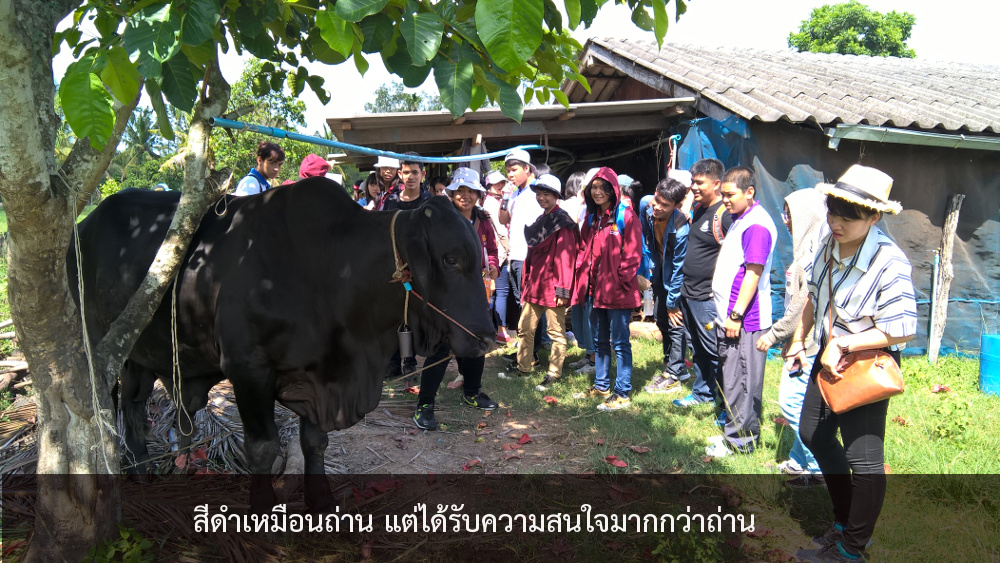 ภาพที่ 5