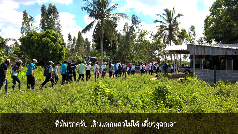 ภาพที่ 6