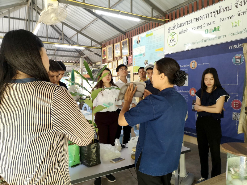 ภาพที่ 5