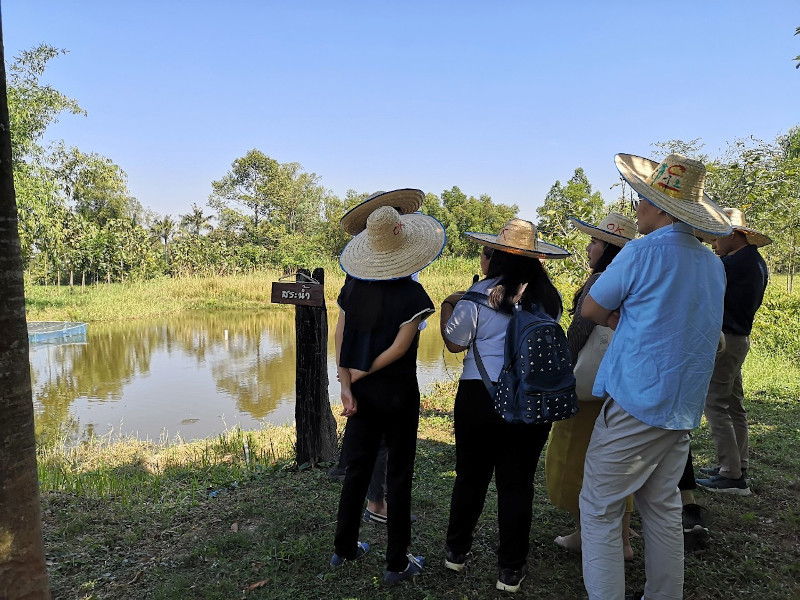 ภาพที่ 12