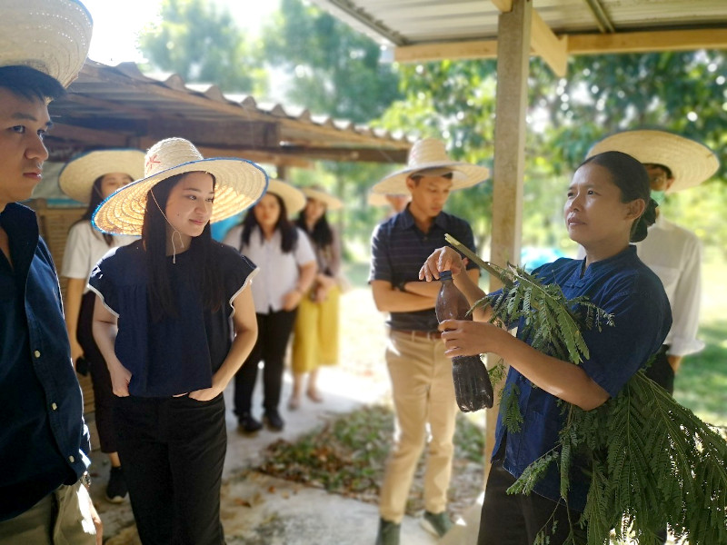 ภาพที่ 14