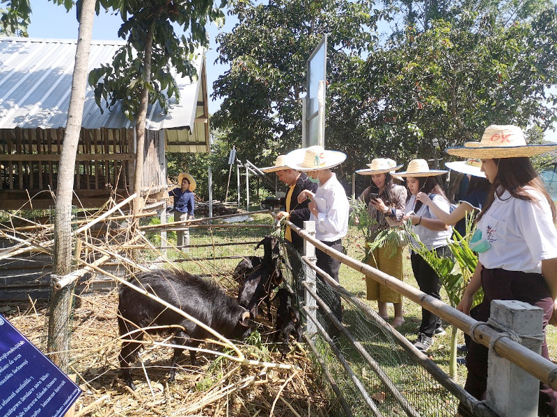 ภาพที่ 16