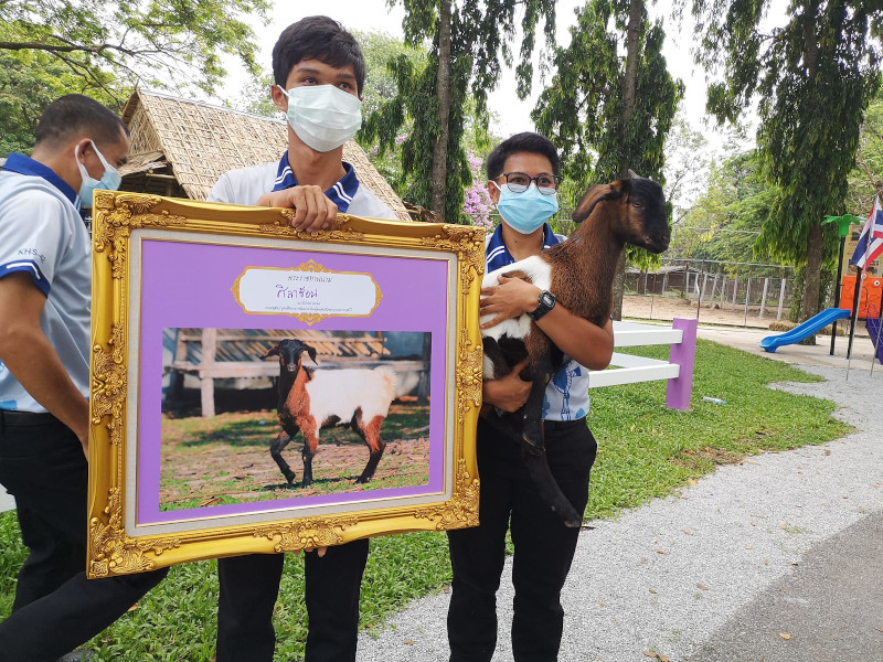 ภาพที่ 2