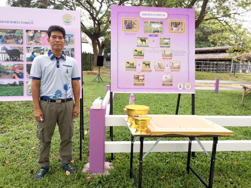 ภาพที่ 4
