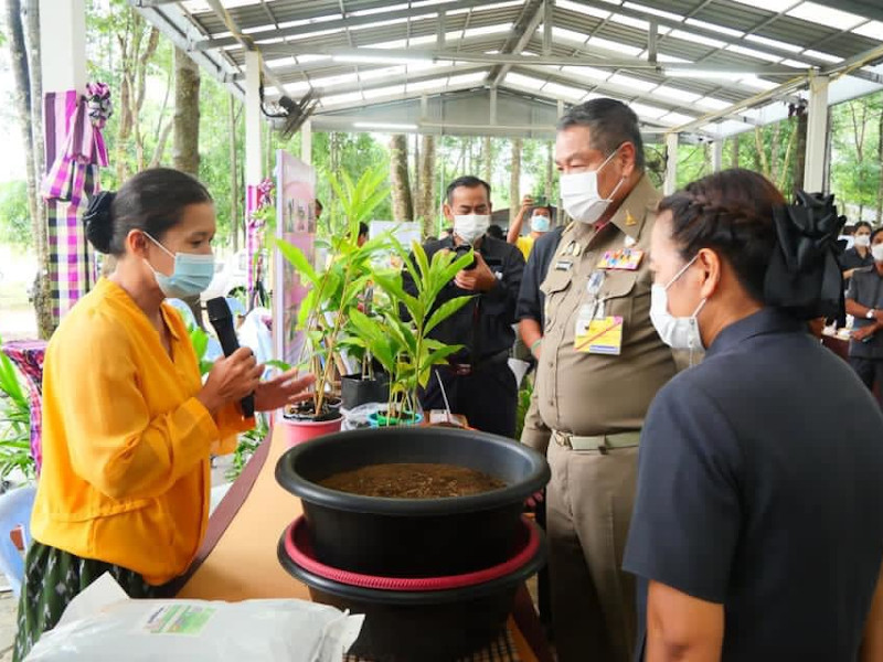 ร่วมกิจกรรมวันคล้ายวันสถาปนาศูนย์ศึกษาการพัฒนาเขาหินซ้อนฯ