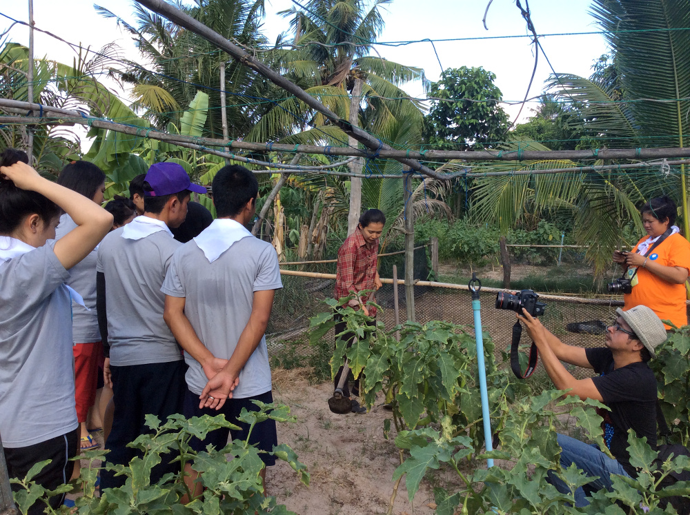 ภาพที่ 4