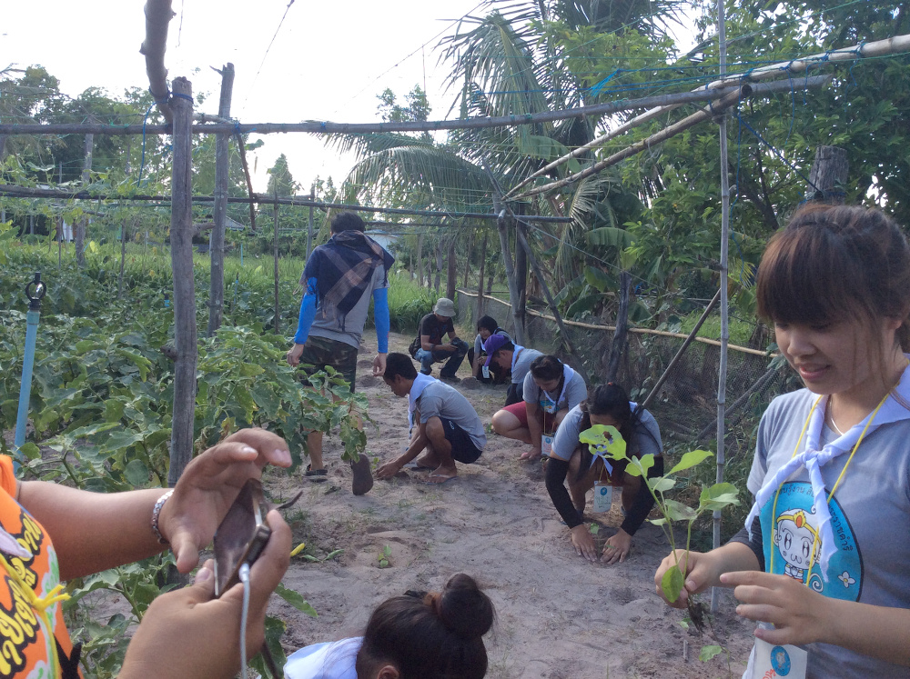 ภาพที่ 5
